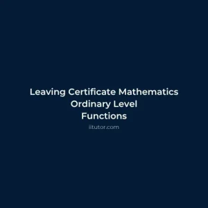 Leaving Certificate Mathematics Ordinary Level Functions Online Course